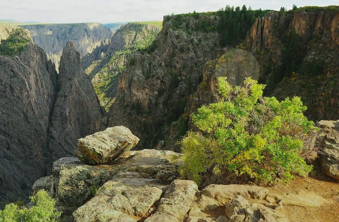 Colorado land sale options and buyer review for Sell Land CO: How Direct Colorado Offers Work